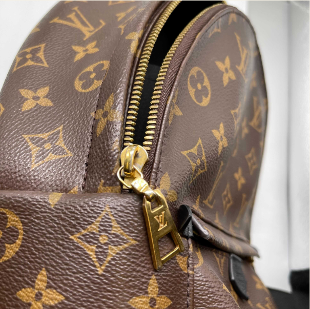 Louis Vuitton Monogram Canvas Palm Springs PM Brown Backpack