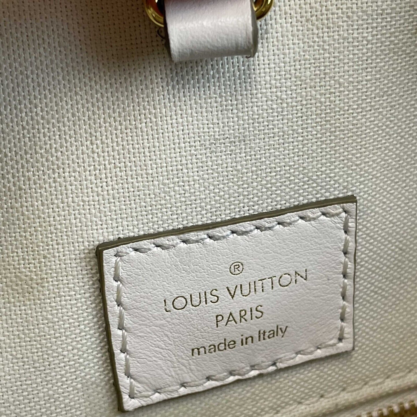 Louis Vuitton Giant Spring In The City OnTheGo MM
