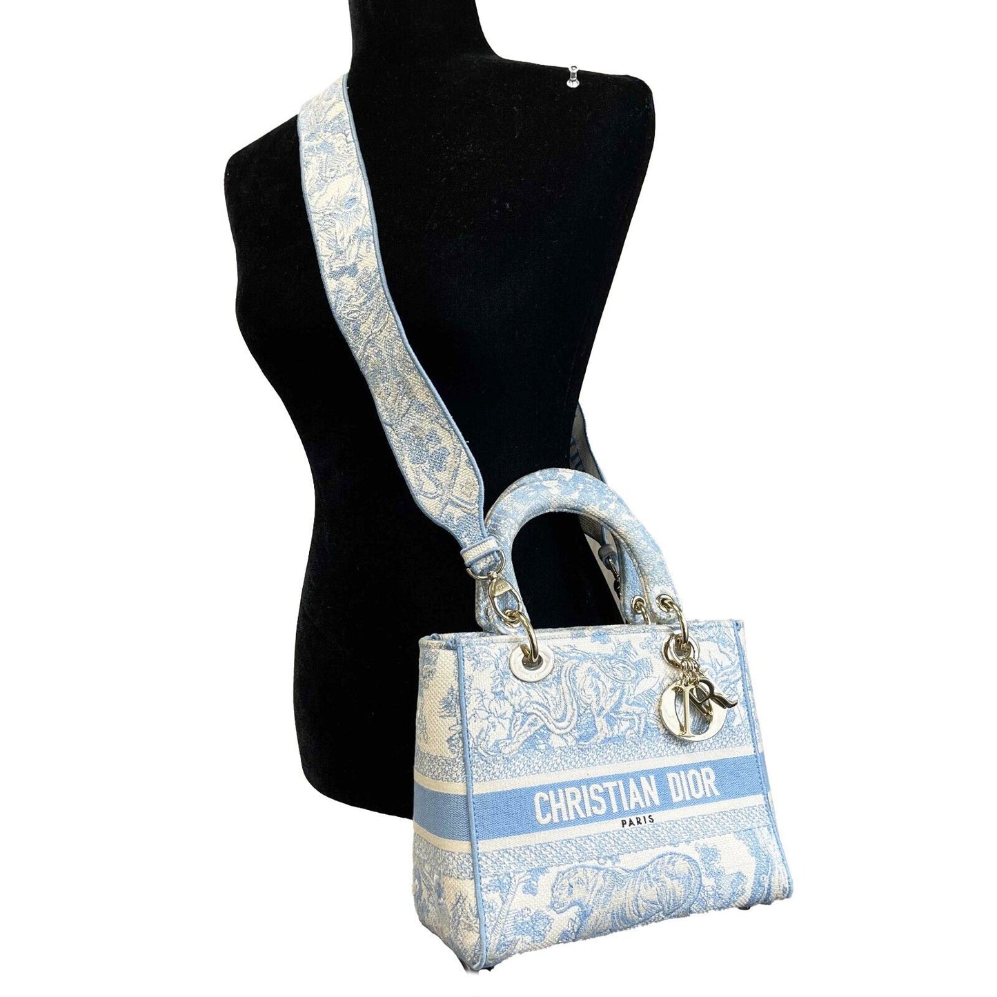 Christian Dior Toile de Jouy Lady D-Lite Bag Embroidered Canvas Cornflower Blue