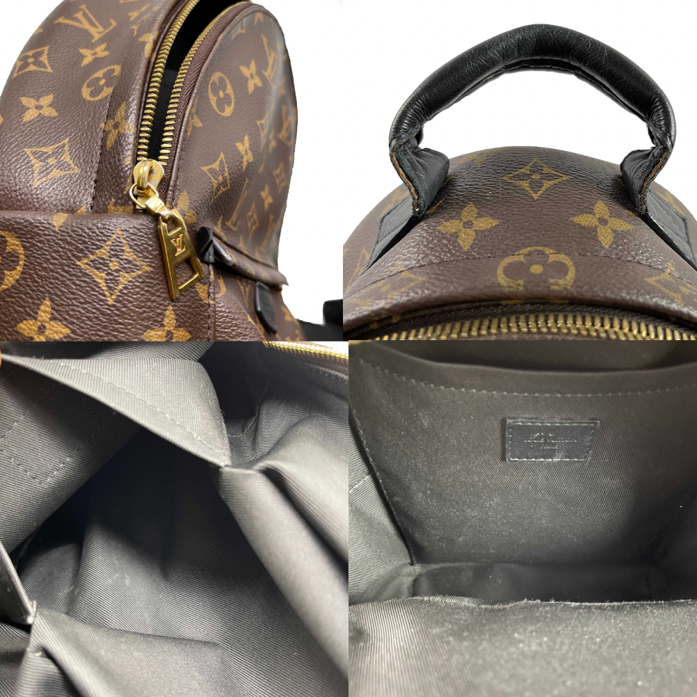 Louis Vuitton Monogram Canvas Palm Springs PM Brown Backpack