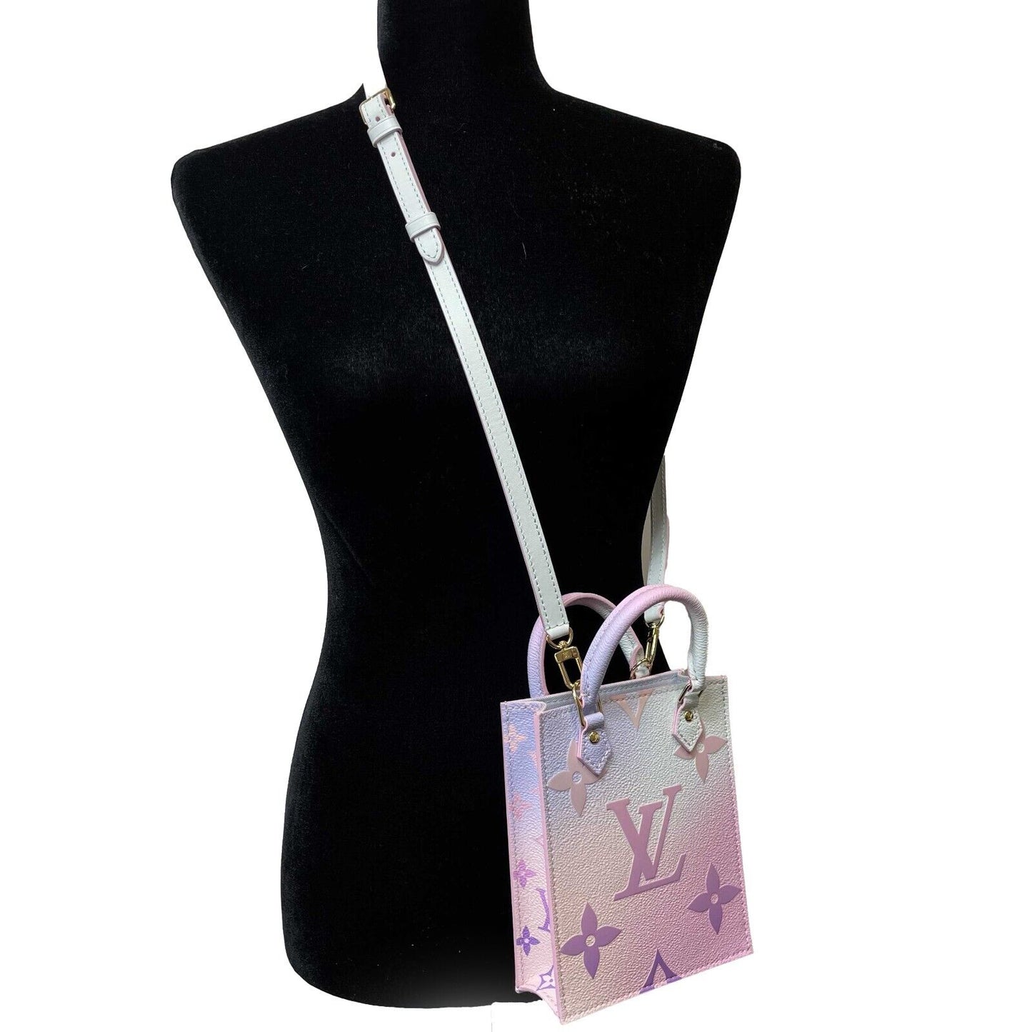 Louis Vuitton - NEW Petit Sac Plat Mini Spring In The City Limited Edition 22